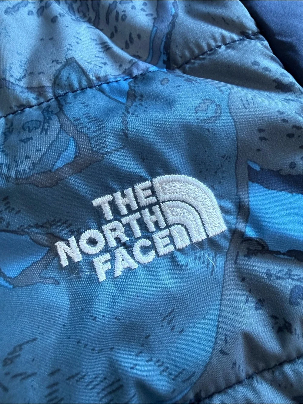 The North Face Reversible Mount Chimbo Hooded Jacket
